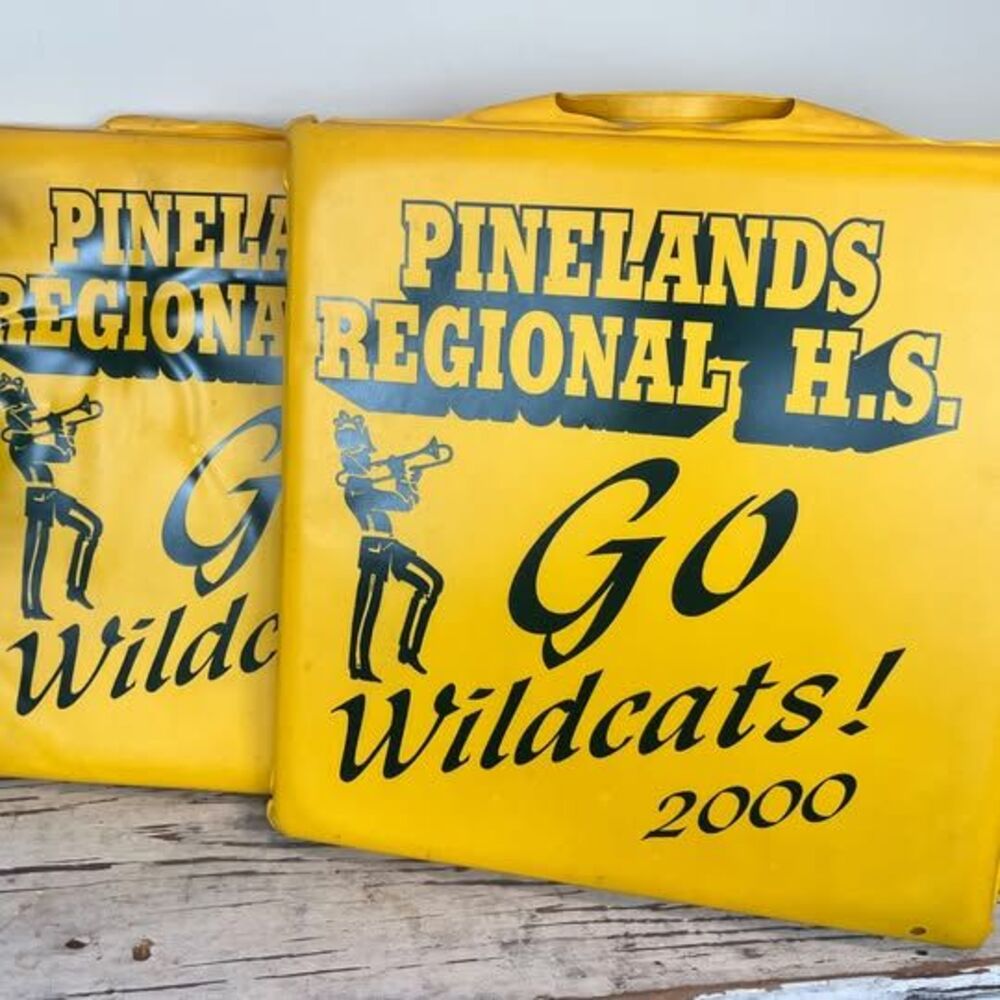 Vintage 2000 WILDCATS Team Yellow & Green Portable Seats W/Handles Retro